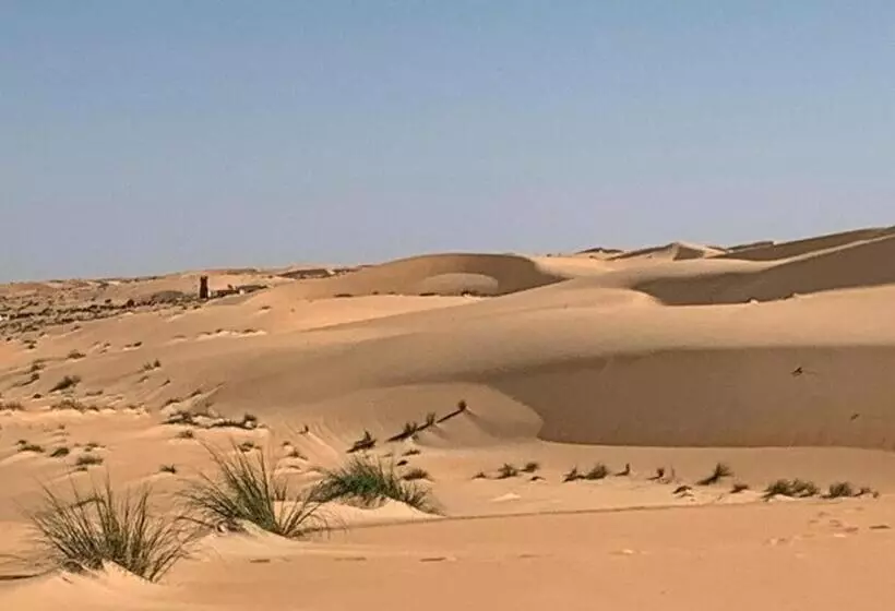 پانسیون Transit