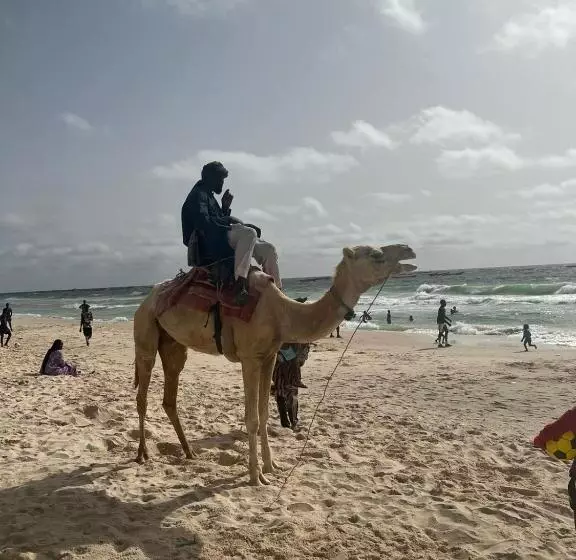 پانسیون Transit