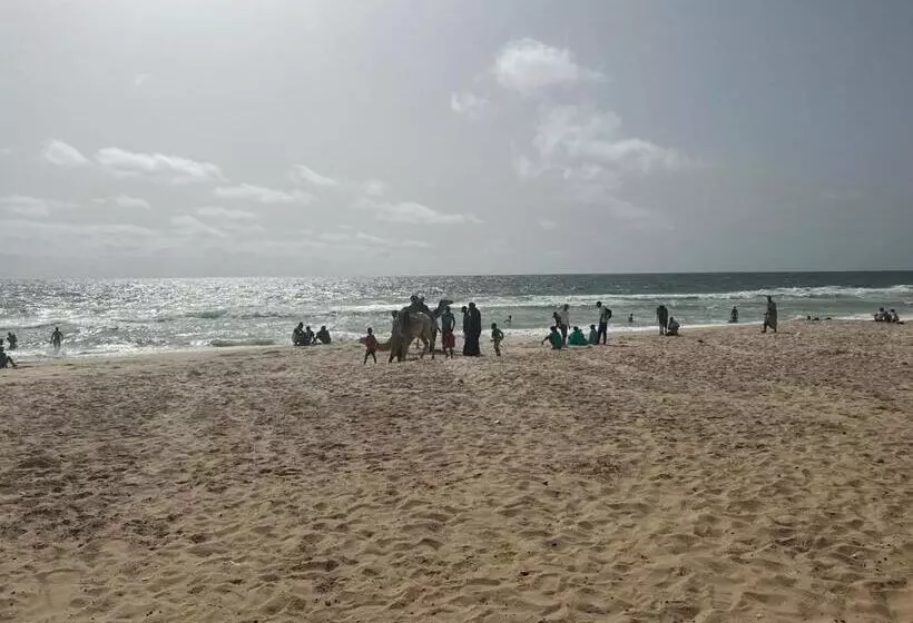 پانسیون Transit