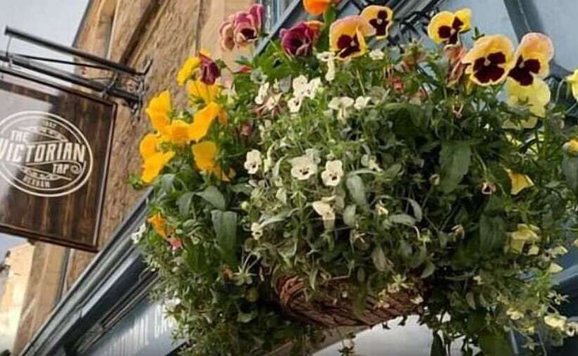 住宿加早餐 Victorian Tap