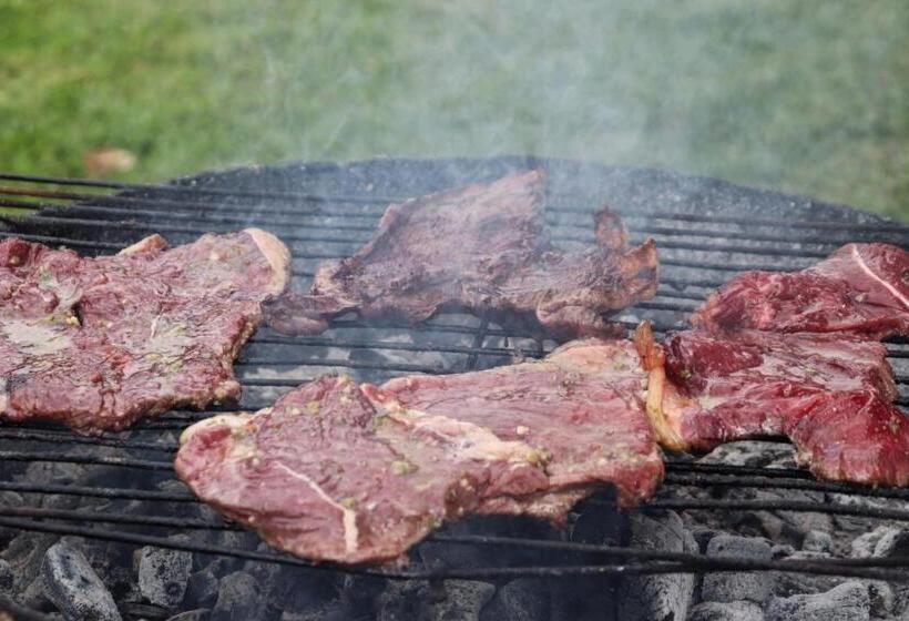 膳宿费 Solarte Hostel