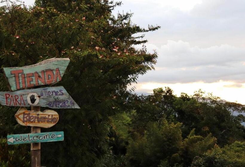 膳宿费 Solarte Hostel