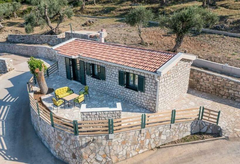 Olive Hilltop Velembusi