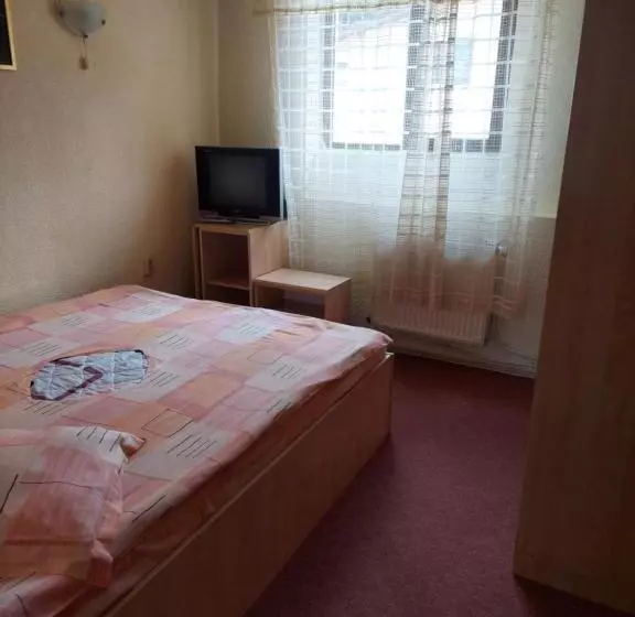 Pensiune Casa Barcaru