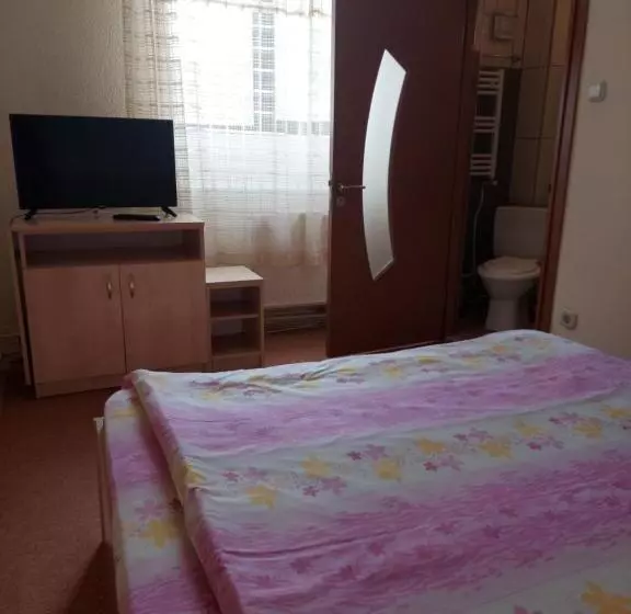 Pensiune Casa Barcaru