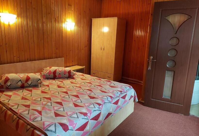 Pensiune Casa Barcaru