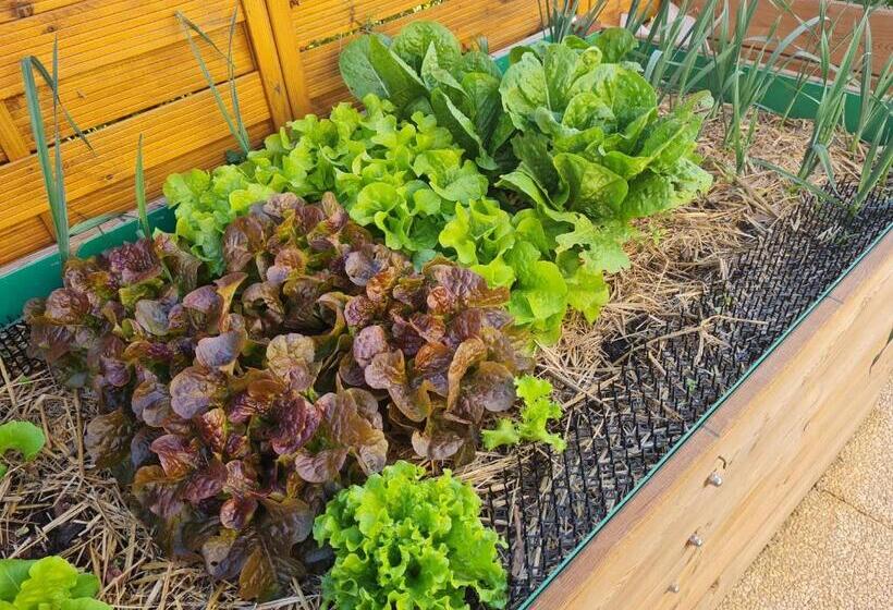 Chambres D Hôtes B&b La Bergeronnette Avec Piscine Couverte Chauffée