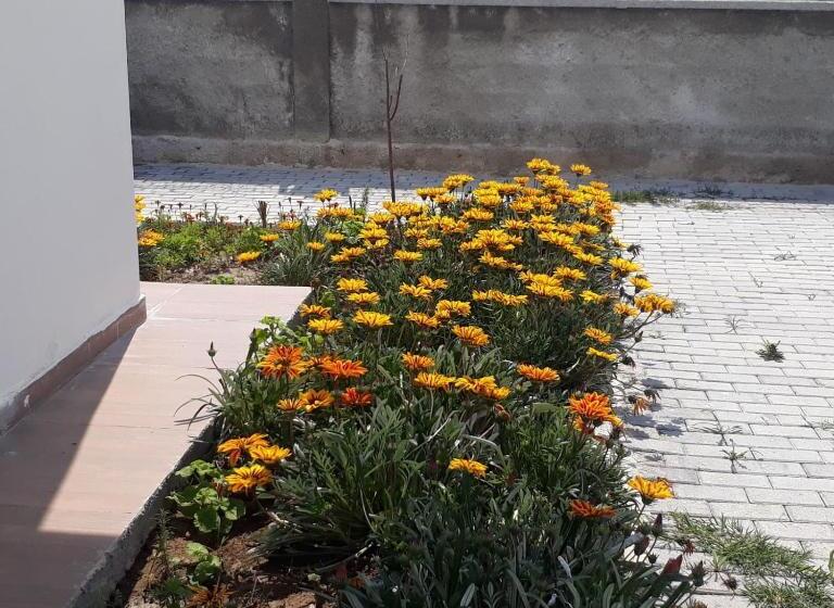 Krali̇yet Konaklari