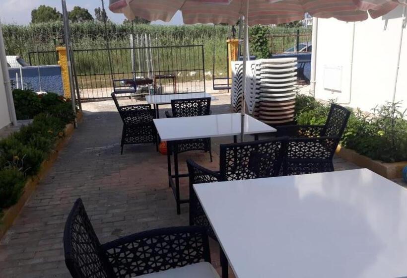 Krali̇yet Konaklari