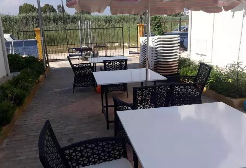 Krali̇yet Konaklari