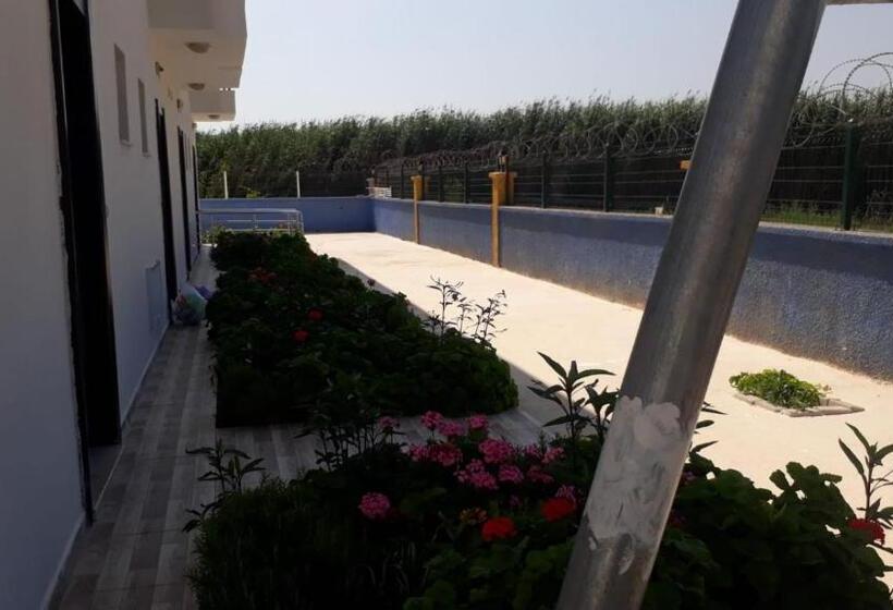 Krali̇yet Konaklari