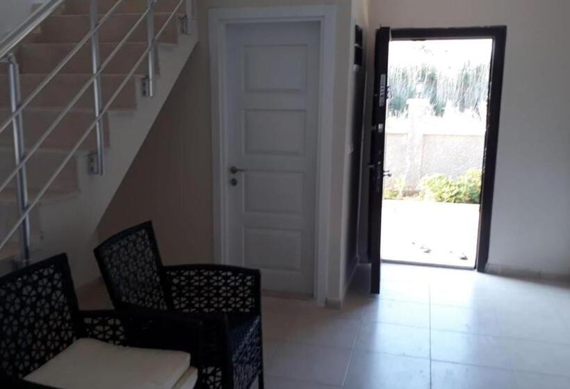 Krali̇yet Konaklari