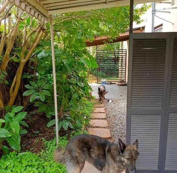 פנסיון 33 On Smuts Selborne