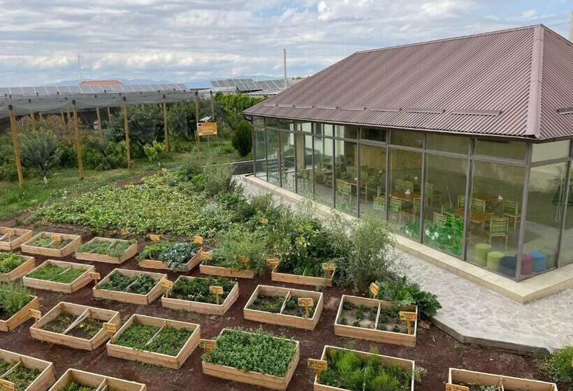 Pensão Green Training Center