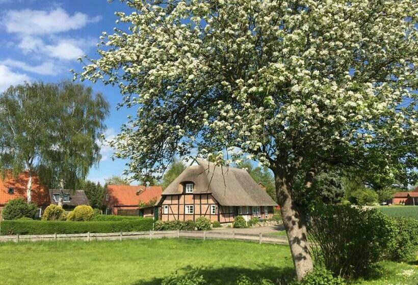 Reetgedeckte Fachwerkhaushälfte An Der Ostsee