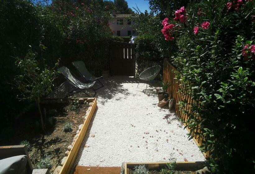 La Terrasse Ensoleillée De Sausset : Le Citronnier