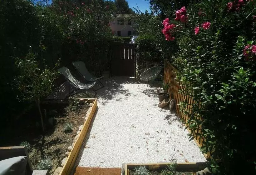 La Terrasse Ensoleillée De Sausset : Le Citronnier