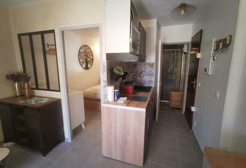 La Terrasse Ensoleillée De Sausset : Le Citronnier