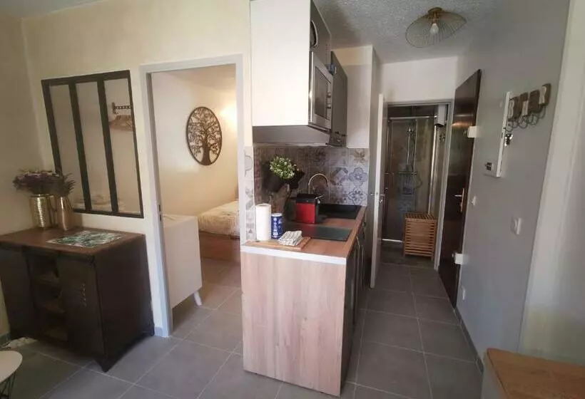 La Terrasse Ensoleillée De Sausset : Le Citronnier