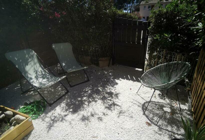 La Terrasse Ensoleillée De Sausset : Le Citronnier