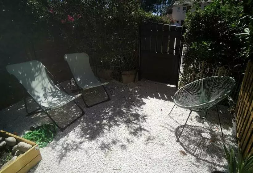 La Terrasse Ensoleillée De Sausset : Le Citronnier