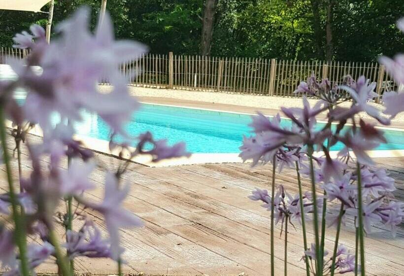 Maisons De Vacances Pour Troubadours