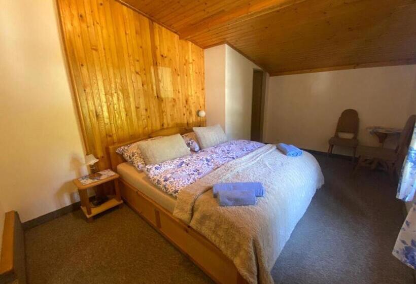 膳宿费 Penzión šafran