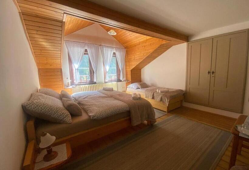 膳宿费 Penzión šafran