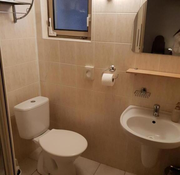 膳宿费 Penzión šafran