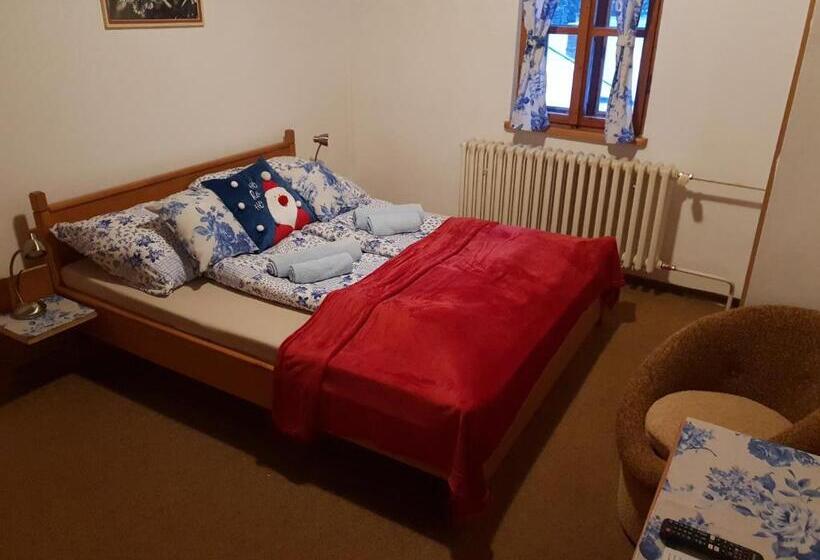 膳宿费 Penzión šafran