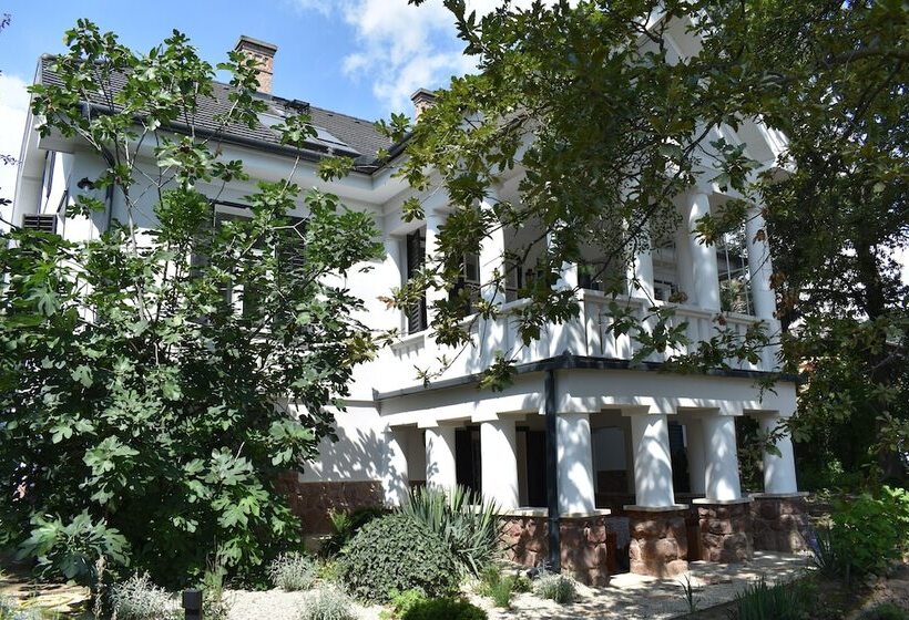 פנסיון Villa Chez Les Amis   Adults Only