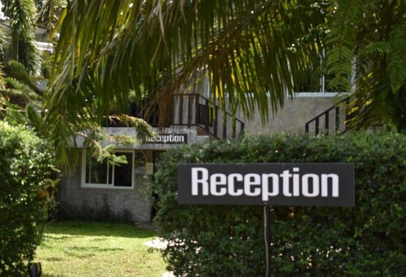 The Zohan Resort & Travel Agency