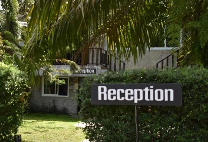 The Zohan Resort & Travel Agency