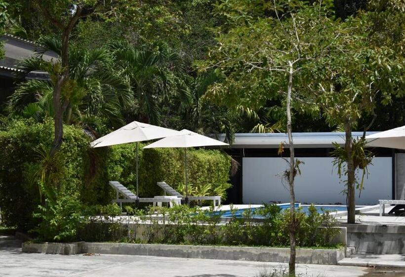 The Zohan Resort & Travel Agency