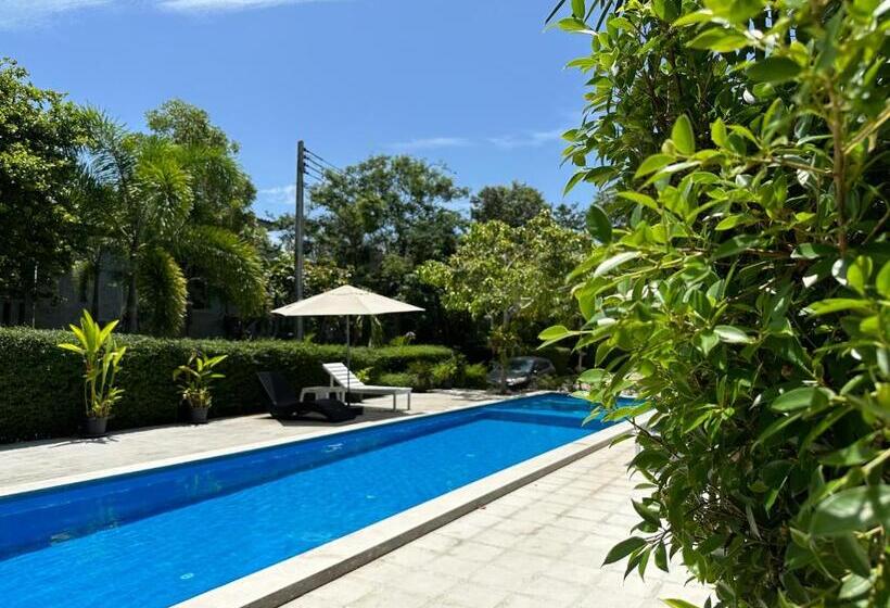 The Zohan Resort & Travel Agency