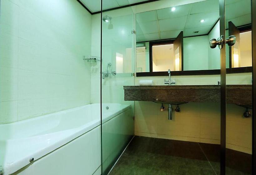 Hotel Arch Plaza   Near Delhi Airport