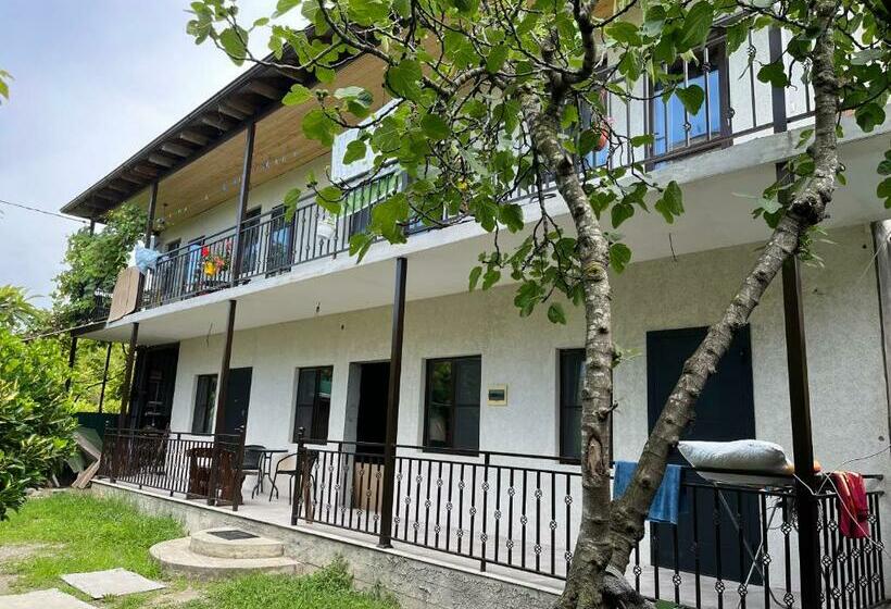 پانسیون леон