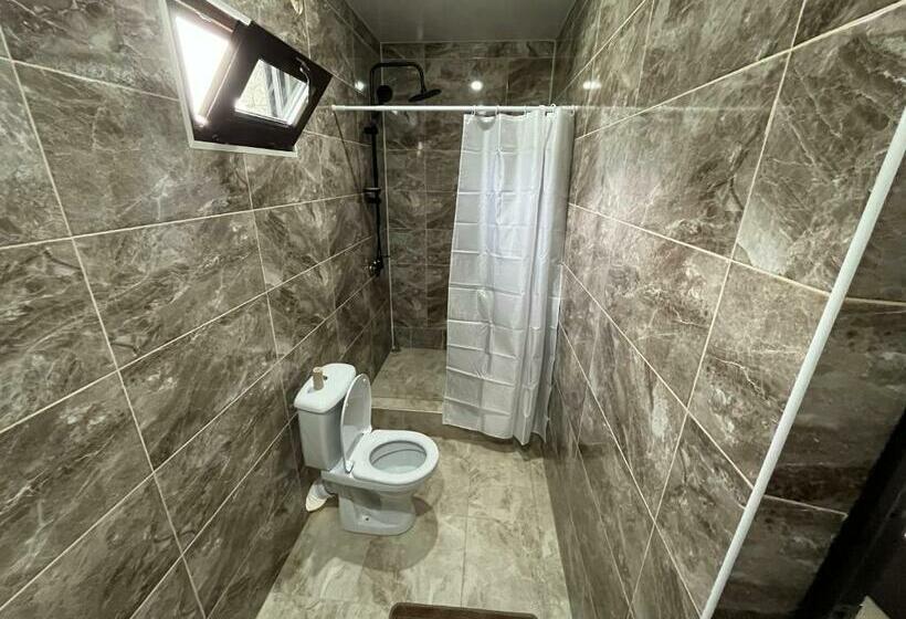 پانسیون леон