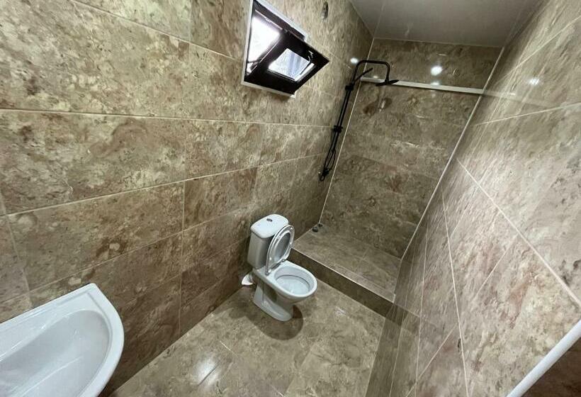 پانسیون леон