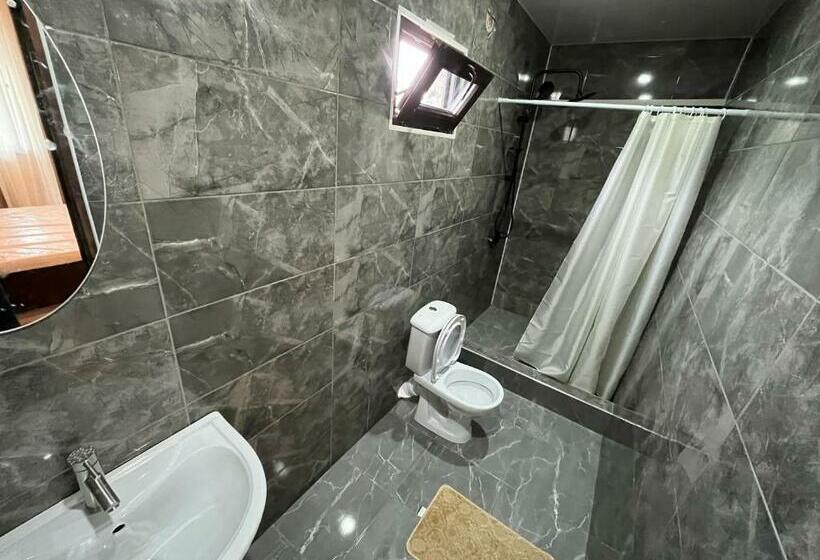 پانسیون леон