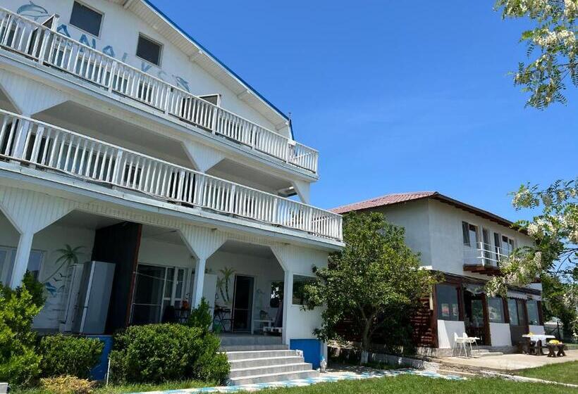 بنسيون Casa Analys