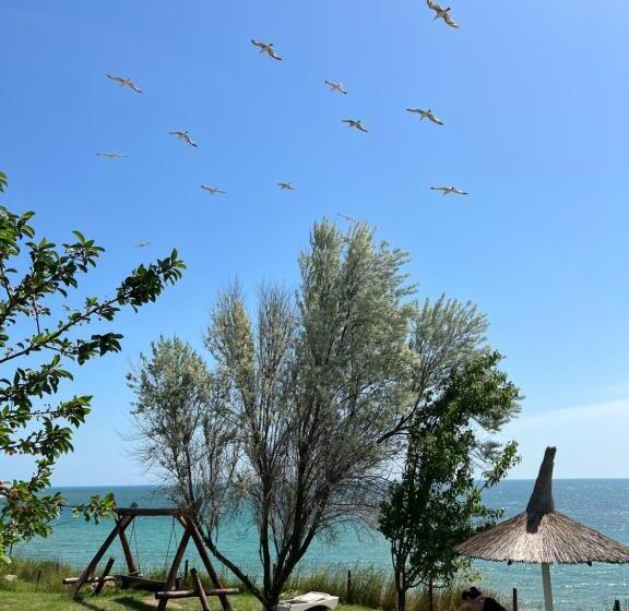 بنسيون Casa Analys