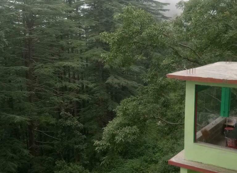 펜션 Pine Guest House Abd Restaurant