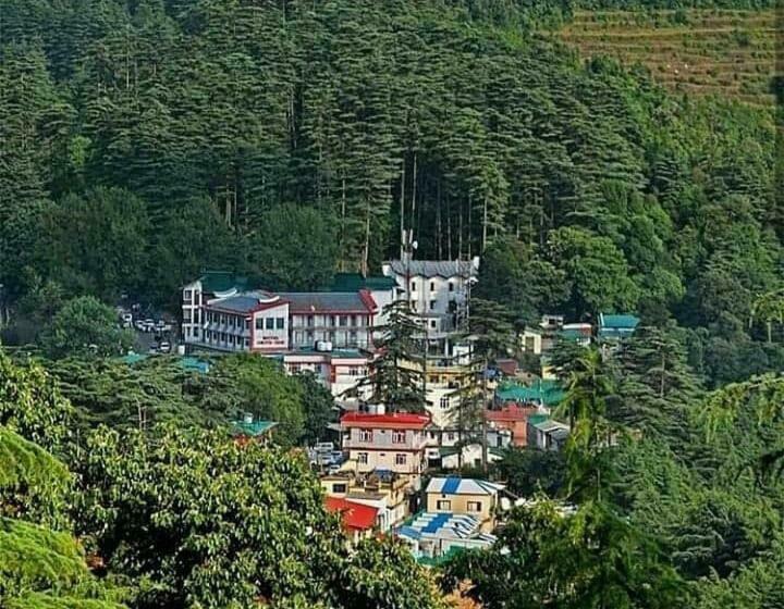 펜션 Pine Guest House Abd Restaurant