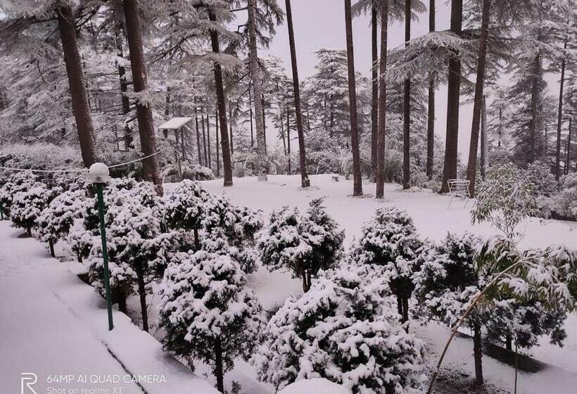 펜션 Pine Guest House Abd Restaurant