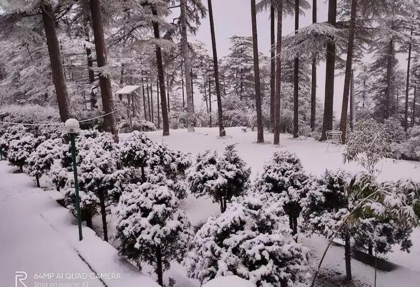 ペンション Pine Guest House Abd Restaurant
