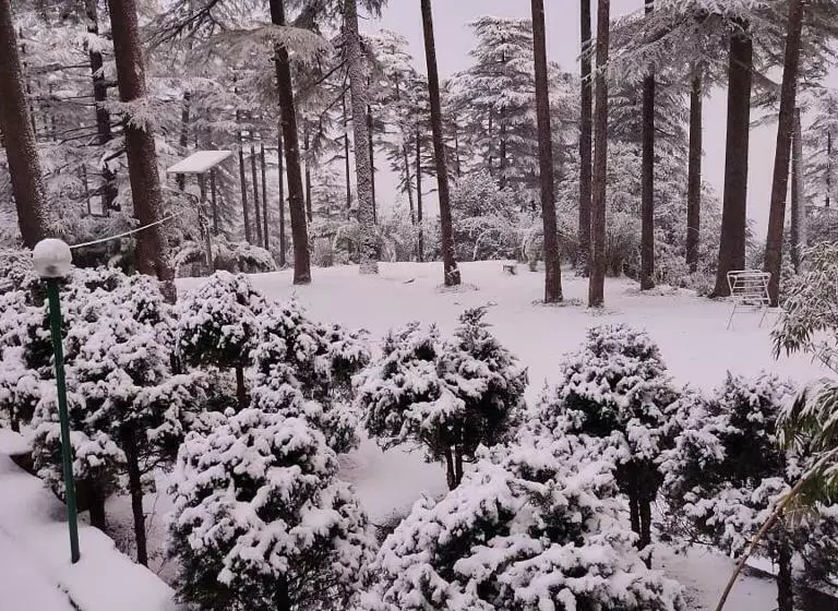 ペンション Pine Guest House Abd Restaurant