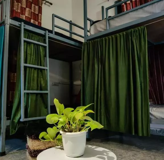 Space House Hostel