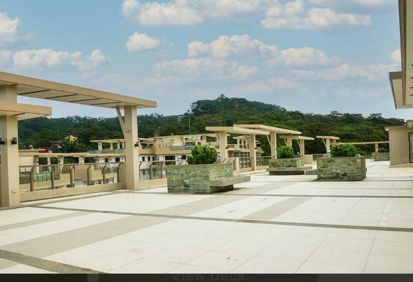 Bts Dmci Bristle Ridge