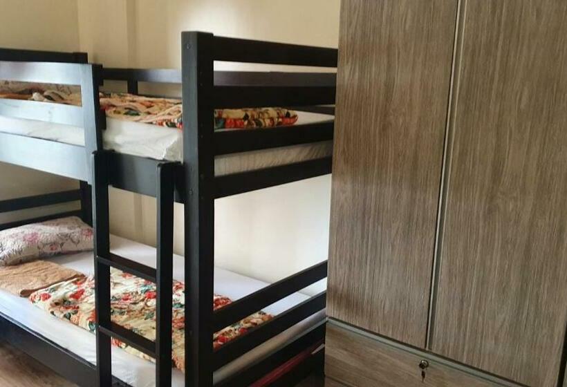 Bts Dmci Bristle Ridge